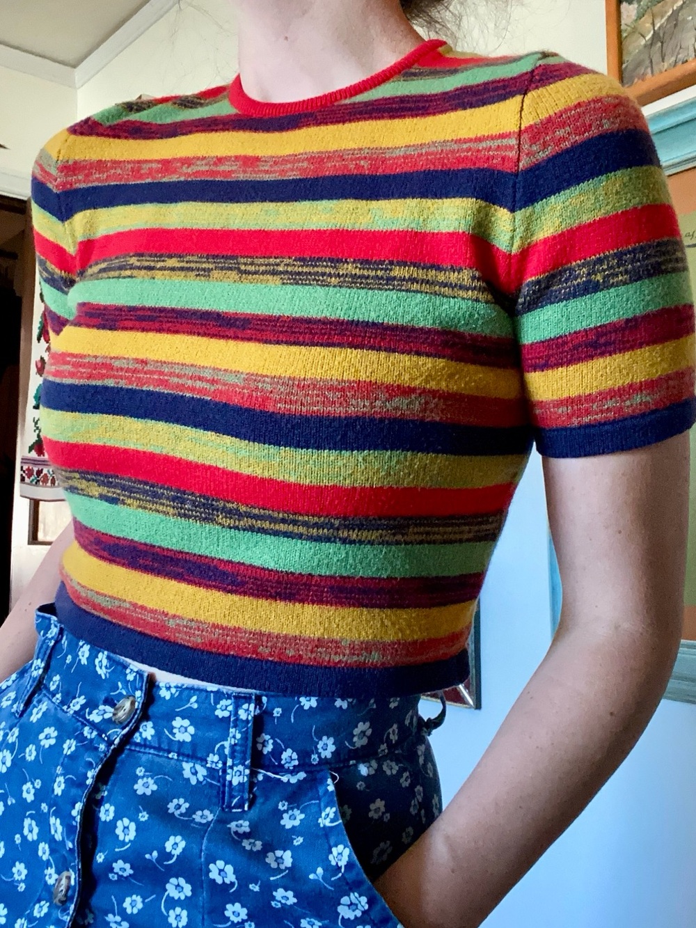 Striped Retro Short-Sleeve Top in Multicolor Stripes